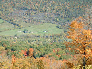Triple C Farm Image