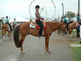 Girl on horse